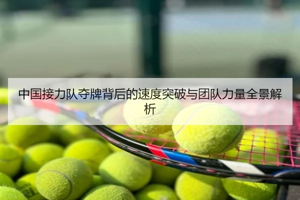 中国接力队夺牌背后的速度突破与团队力量全景解析