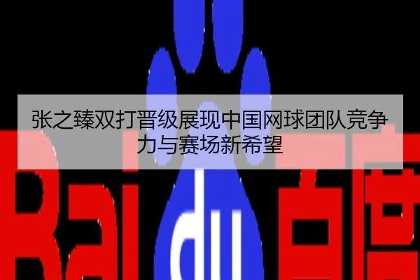 张之臻双打晋级展现中国网球团队竞争力与赛场新希望