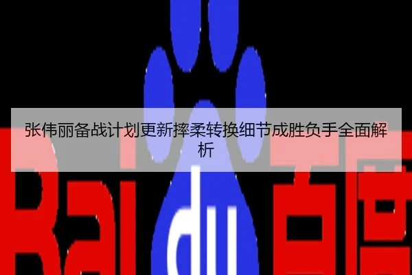 张伟丽备战计划更新摔柔转换细节成胜负手全面解析