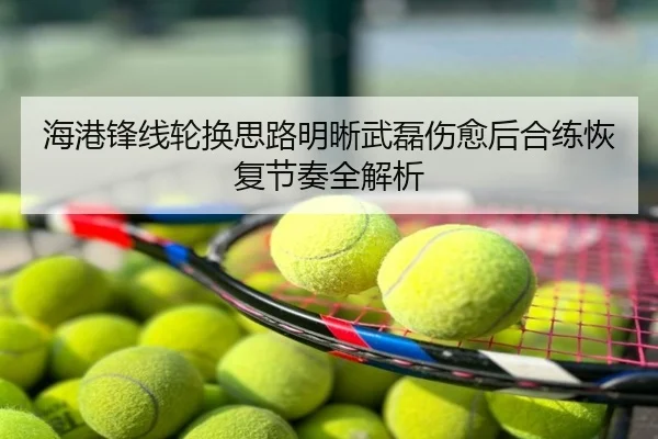 海港锋线轮换思路明晰武磊伤愈后合练恢复节奏全解析